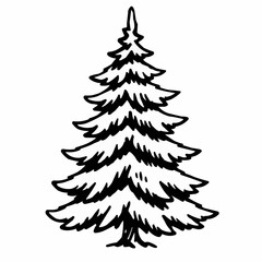 Obraz premium Spruce. Black and white illustration. Vector clipart. Hand-drawn