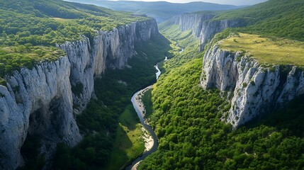 Green valley with a narrow river snaking between towering cliffs