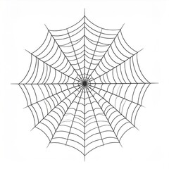 Obraz premium Detailed Black And White Spiderweb Illustration