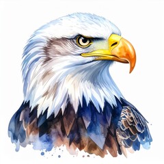 Naklejka premium Majestic Bald Eagle Watercolor Portrait