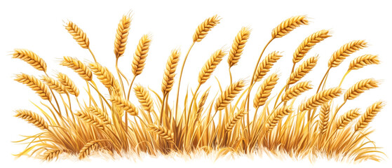 Golden wheat illustration against black offers a rustic, harvest feel with detailed stalks perfect for backgrounds or design elements, transparent background