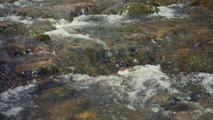 Close-up of a gurgling stream with rapids and mossy rocks.