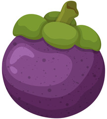 Fruit, Mangosteen, Tropical Fruits, Illustration Hand Drawn