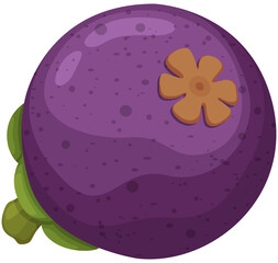 Fruit, Mangosteen, Tropical Fruits, Illustration Hand Drawn