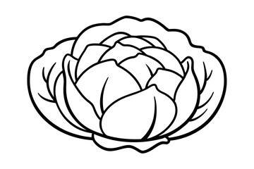 Cabbage coloring book page line art vector illustration, Cabbage outline icon vector