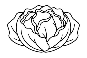 Cabbage coloring book page line art vector illustration, Cabbage outline icon vector