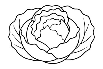Cabbage coloring book page line art vector illustration, Cabbage outline icon vector