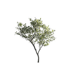 Green tree stands out against abstract background of colorful lines