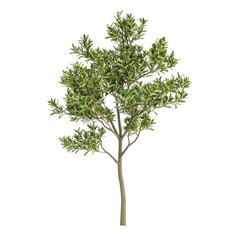 Green tree digital art vibrant colors abstract background nature design