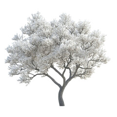 Obraz premium A snow covered tree stands tall against a striped background a winter scene