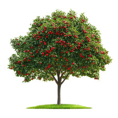 Fototapeta premium A fruitful apple tree laden with ripe red apples sits on a patch of green grass against a colorful striped background