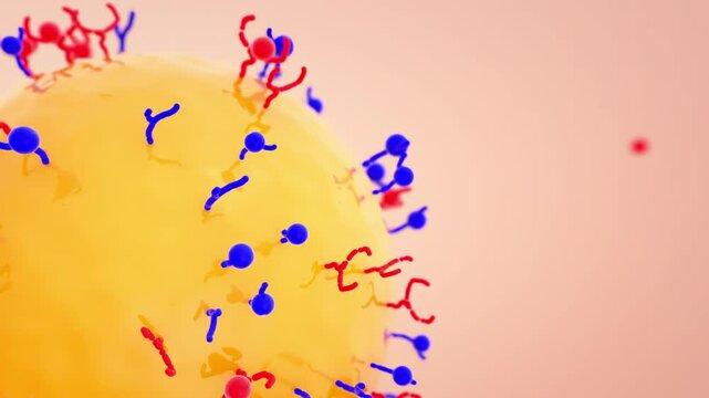 Colorful cell with receptor connectors absorbs matching red and blue spheres in close-up 3D animation. Vibrant and precise, perfect for biotech or medical visuals.