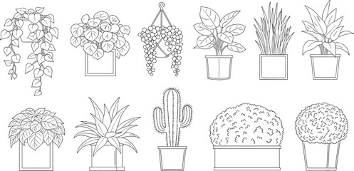 Vector illustration of potted indoor plants, cactus, leafy greens, hanging pots, botanical sketch, home garden decor, black and white drawing

 flat vector illustration