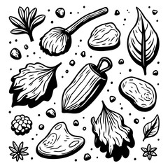 Spice and Herb Sketch Collection: A Black and White Culinary Botanical Set