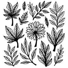 Elegant botanical vector illustrations of leaves and branches for creative designs