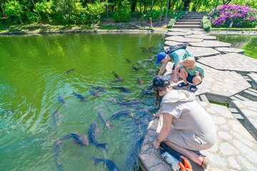 playing with fishes in the Chatuchak park in Bangkok city