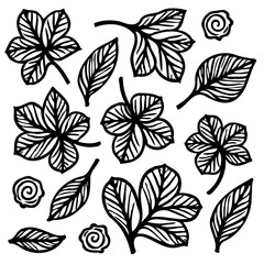 Elegant botanical vector illustration showcasing stylized leaves and spiral accents
