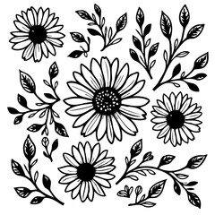Elegant Floral Set: Hand-Drawn Daisies and Foliage for Creative Designs and Illustrations