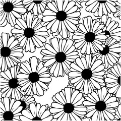 Elegant Black and White Floral Pattern Featuring Daisy Flowers on a White Background
