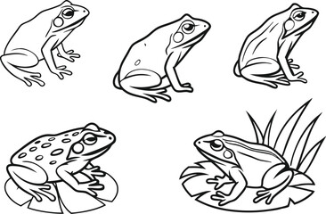 Cartoon Frog Drawing Clipart Set. Hand Drawn Frog Illustration Collection. Cute Frog Sketch and Line Art Bundle. Realistic Frog Drawing Graphic Elements. Minimal Frog Line Drawing Illustration Pack
