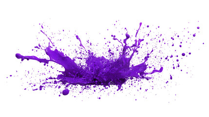 Purple paint splash explosion on black background