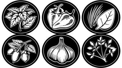 Illustration of basil, peppers, chives, spinach, jojoba, garlic, and rue in black and white circles
