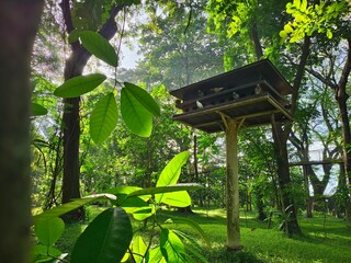photo is out of focus, bird cage on a big tree. in the middle of a beautiful green garden