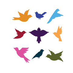 Vector Bird
