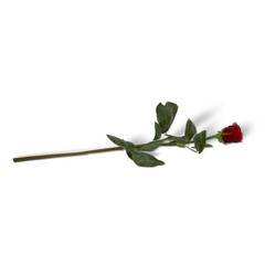 A single red rose with green leaves, symbolizing love and affection.