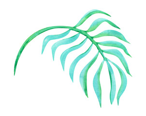 Watercolor palm branch in turquoise color hand drawn iluustration isolated on white