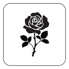 Vector rose flower illustration classic floral decoration