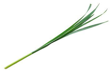 Fototapeta premium Fresh Green Leaves Isolated on Black Background with Simplicity Theme