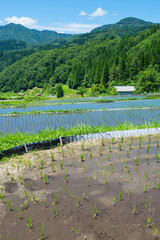 田植えを終えた若桜氷ノ山の棚田の風景 鳥取県 若桜町