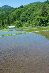 田植えを終えた若桜氷ノ山の棚田の風景 鳥取県 若桜町
