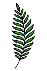 einzelner Farn dynamisch 