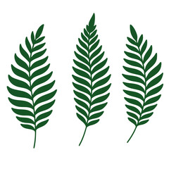 Farn Set Stempel gr&uuml;n