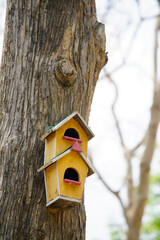 Colorful Wooden Birdhouse Attached to Tree Bark in Natural Setting