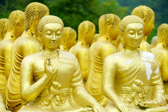 Golden Buddha Statues in Thoughtful Serenity Surrounded by Nature