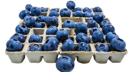 Blueberries in a Labyrinth Design on the Transparent Background