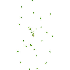 A simple animation of green leaves floating gently against a white background.