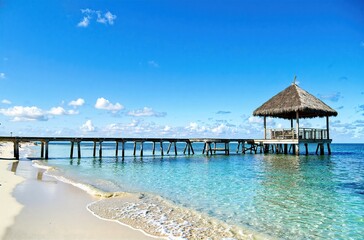Fototapeta premium Tropical Pier with Thatched Roof over Clear Blue Ocean Water
