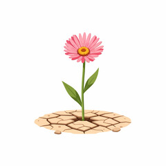 Single Pink Flower Growing Through Dry Cracked Earth Symbolizing Hope and Resilience