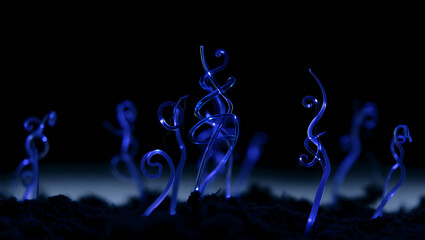Ethereal blue tendrils of light emerge from dark soil in a surreal glowing botanical display: Quantum Garden Ecosystems