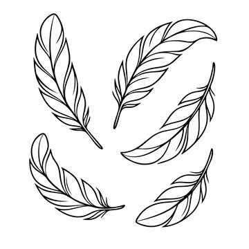 zarte Federn Tattoo Vorlage 