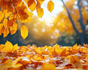 Vibrant autumn leaves blanket the ground in a serene park setting, glowing in sunlight