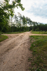 Landscape with a crossroad of ground road in the forest during a summer season