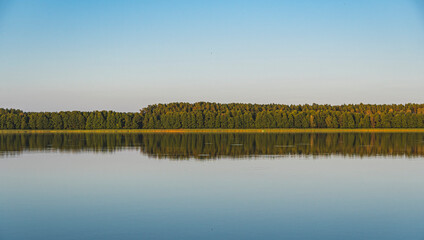 Landscape depicting a forest and its reflection in the calm waters of a lake