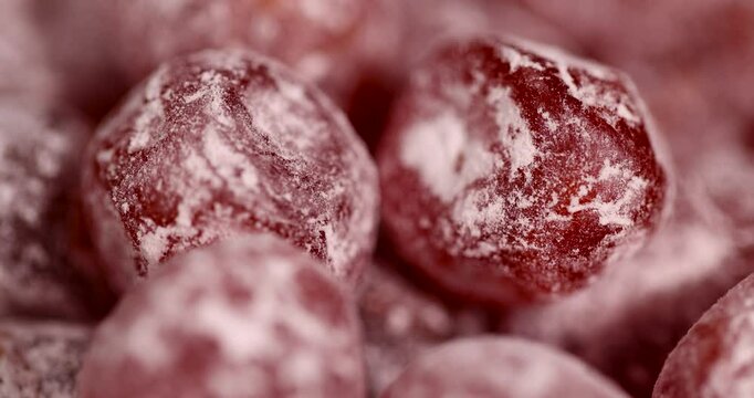 candied fruits of kumquat boiled in sugar syrup in powdered sugar, sweet dehydrated candied fruits of kumquat in white powdered ground sugar