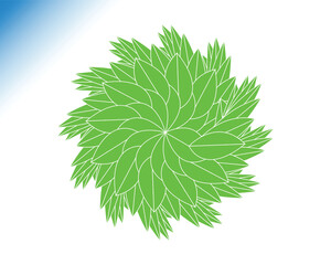 Leaf pattern vector design. 