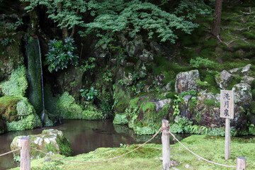 緑の泉